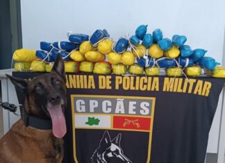 Operação no Amazonas apreende mais de 21 kg de cocaína e causa prejuízo ao tráfico