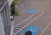 Homem é flagrado furtando fiação elétrica de loja de bolsas em Manaus