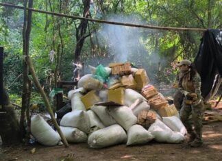 Operação na fronteira com o Brasil elimina 1,7 tonelada de maconha no Paraguai