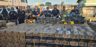Cão farejador encontra 123 kg de drogas ocultos em embarcação no interior do Amazonas