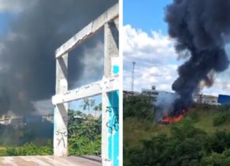 Fogo em área de vegetação assusta moradores e gera grande cortina de fumaça na zona norte