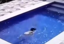 Vídeo mostra menina com paralisia temporária escapando sozinha após cair em piscina