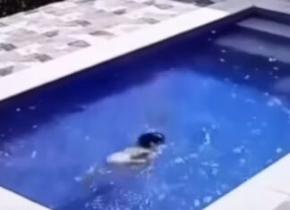 Vídeo mostra menina com paralisia temporária escapando sozinha após cair em piscina