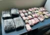 Cão farejador ajuda PF a localizar 10 quilos de skunk e haxixe em aeroporto no AM