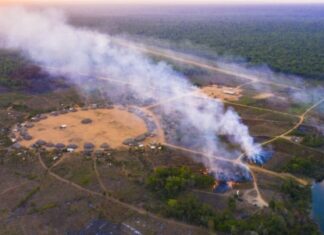 STF dá 15 dias para União apresentar plano de proteção de terras indígenas do Amazonas contra incêndios
