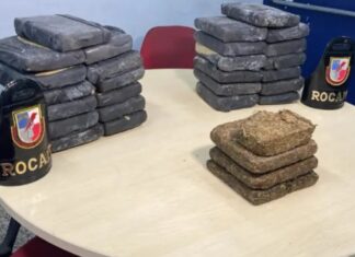 Polícia apreende 33 tabletes de maconha durante operação da ROCAM no Tarumã