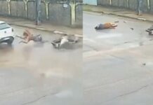 Grávida é atropelada por carro e motorista foge sem prestar socorro em Manaus