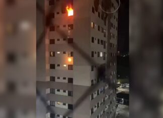 Apartamento pega fogo em condomínio no Dom Pedro; bombeiros resgatam moradores e animais