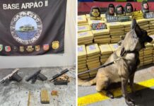 Base Arpão 2: Forças de Segurança apreendem mais de 600 quilos de skunk e causam prejuízo de R$ 29,6 milhões ao crime organizado