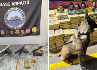 Base Arpão 2: Forças de Segurança apreendem mais de 600 quilos de skunk e causam prejuízo de R$ 29,6 milhões ao crime organizado