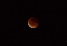 Lua de sangue poderá ser observada no céu de Manaus em agosto