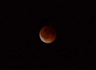 Lua de sangue poderá ser observada no céu de Manaus em agosto
