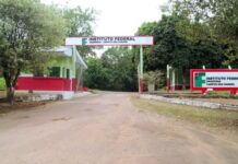 IFAM registra ataque de onça que m4tou 11 ovinos e interrompeu aulas práticas
