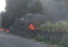 Incêndio se espalha rapidamente e ameaça casas após casal entrar em terreno no Nova Cidade; veja