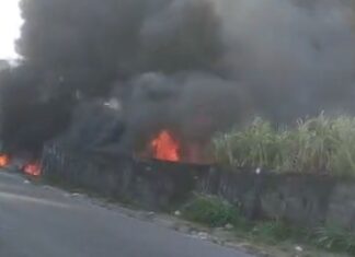 Incêndio se espalha rapidamente e ameaça casas após casal entrar em terreno no Nova Cidade; veja