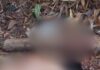 Homem é achado desacordado e ens4ngu3nt4do após g0lpe na cabeça em Maués