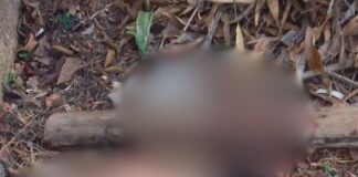 Homem é achado desacordado e ens4ngu3nt4do após g0lpe na cabeça em Maués