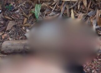 Homem é achado desacordado e ens4ngu3nt4do após g0lpe na cabeça em Maués