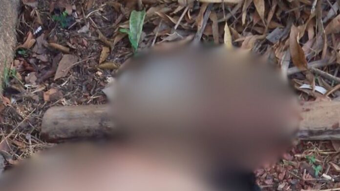 Homem é achado desacordado e ens4ngu3nt4do após g0lpe na cabeça em Maués Homem é achado desacordado e ens4ngu3nt4do após g0lpe na cabeça em Maués