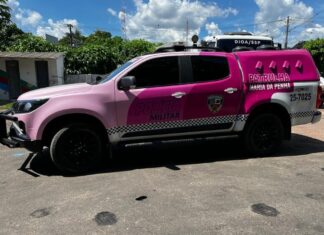 Homem de 63 anos é detido após dar soco na irmã durante briga em Manaus