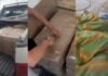 Denarc prende homem e apreende 700 kg de ‘supermaconha’ em galpão de Manaus