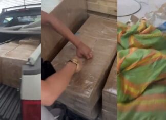 Denarc prende homem e apreende 700 kg de ‘supermaconha’ em galpão de Manaus