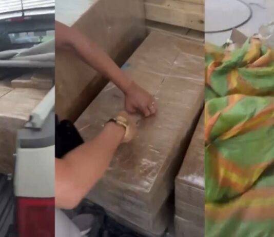 Denarc prende homem e apreende 700 kg de ‘supermaconha’ em galpão de Manaus