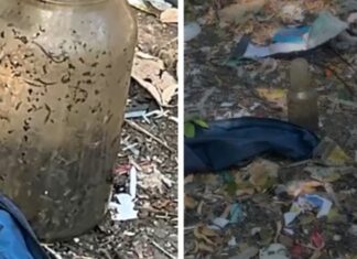 Suposto feto humano é encontrado dentro de recipiente em terreno baldio de Manaus
