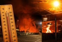 Manaus em alerta: incêndios se multiplicam diariamente em meio ao calor e à estiagem