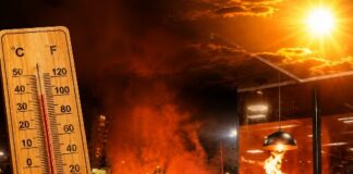 Manaus em alerta: incêndios se multiplicam diariamente em meio ao calor e à estiagem