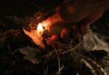 Casal é pres0 após colocar fogo em terreno e quase provocar incêndio em casas no Amazonas
