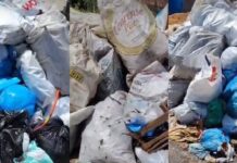 “Lixão a céu aberto”: moradores denunciam mais de 8 dias sem coleta e infestação de ratos no Jorge Teixeira
