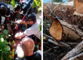 Idoso de 79 anos morre após ser atingido por tronco de árvore em Manaus