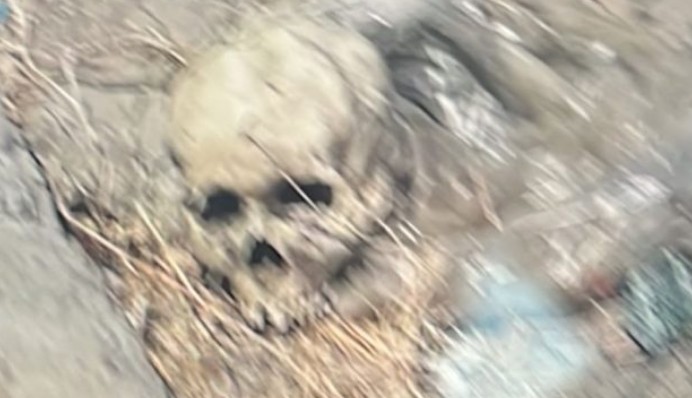 qegvbqeb