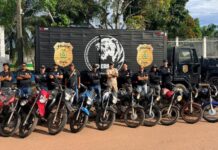 DERFV entrega 38 motos recuperadas após ações contra roubos e furtos no interior do AM