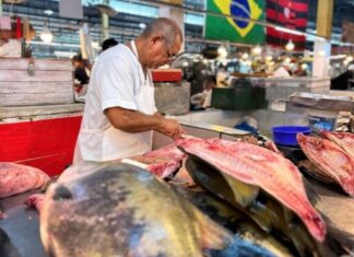 Tambaqui ameaçado: manauaras temem que peixe fique raro e mais caro nas feiras de Manaus