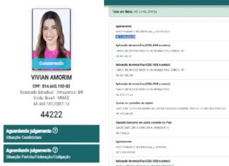 Vivian Amorim declara R$ 3,4 milhões para disputar vaga de deputada estadual na Aleam
