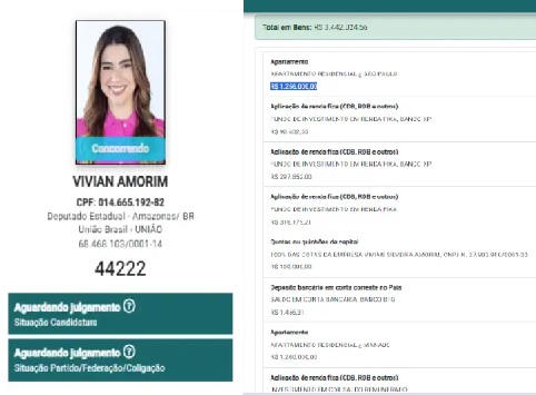 vivian amorim