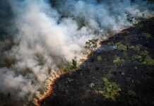 Queimadas registram alta de 282% no Amazonas e pioram qualidade do ar em Manaus
