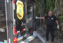 Mulher é encontrada morta em área de mata no Parque Mosaico em Manaus