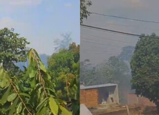 Fumaça intensa toma conta do Tarumã Açu após incêndio em área de vegetação
