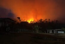 Incêndio de três dias mantém chamas ativas e preocupa moradores na Estrada de Novo Airão
