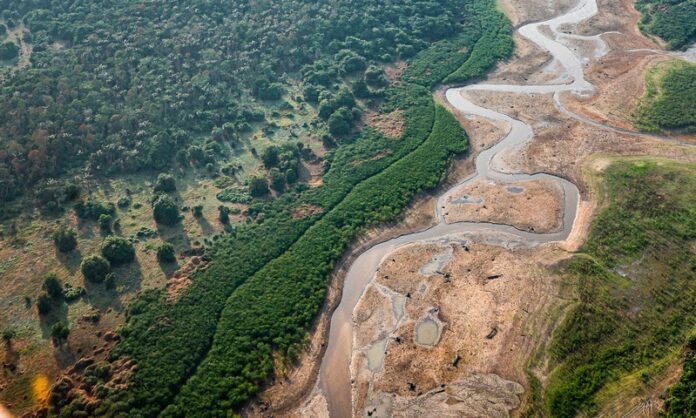 floresta-amazonia-seca-estoque-carbono-ricardo-stuckert-conexao-planeta