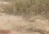 Homem é encontrado caído e baleado em terreno na Zona Leste de Manaus