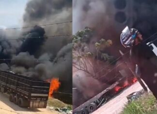 Incêndio volta a atingir área de vegetação no Distrito Industrial