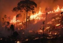 Amazonas registra alta de 282% nos focos de queimadas em setembro