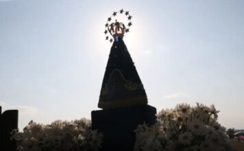 Dino manda PF investigar suposta onda de ataques a imagens católicas