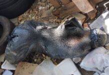 Mulher é encontrada m0rta dentro de saco plástico no bairro Vila da Prata