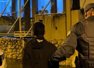 Mulher grávida usa ligação para pedir pizza e consegue socorro da polícia