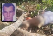 Trabalhador morr3 soterrado por galhos após acidente com motosserra no AM